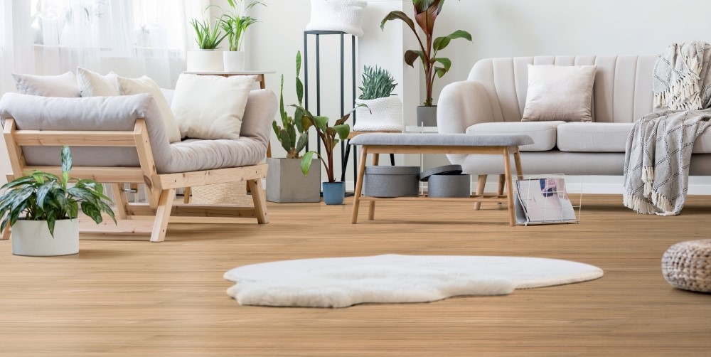 Home Interiors