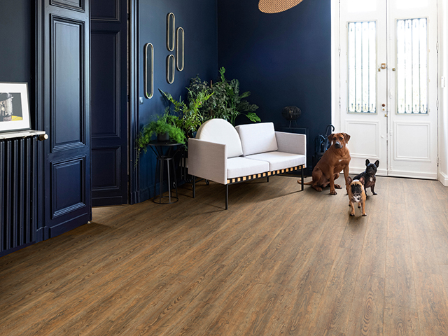 The Benefits of Timber Look Vinyl vs. Timber Flooring